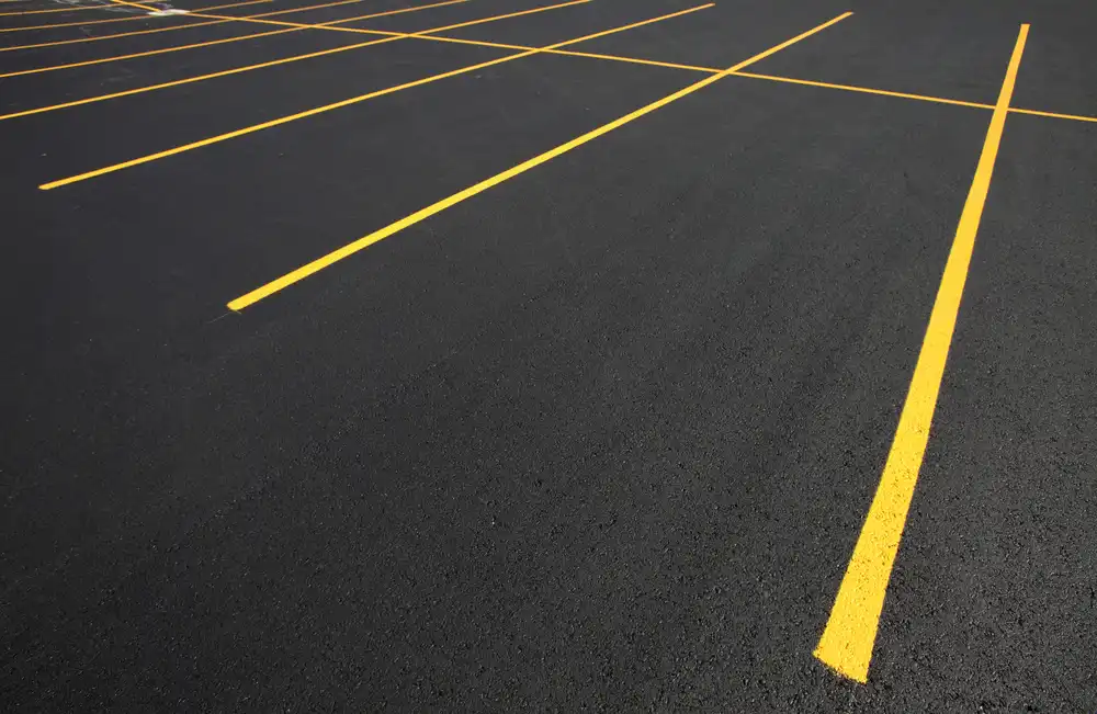 Freshly Striped Parking Stall Lines